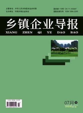 乡镇企业导报