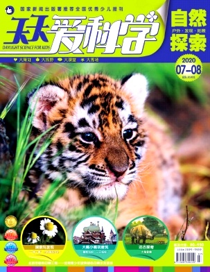 天天爱科学